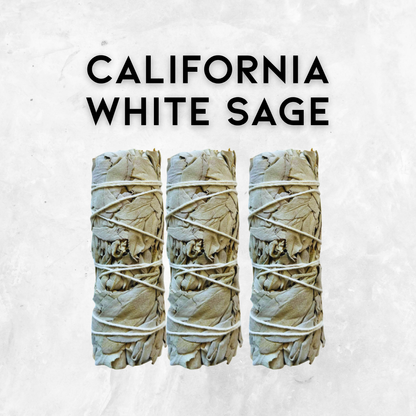 4″ California White Sage Smudge Sticks – Cleansing, Purification & Ritual purpose